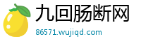 九回肠断网